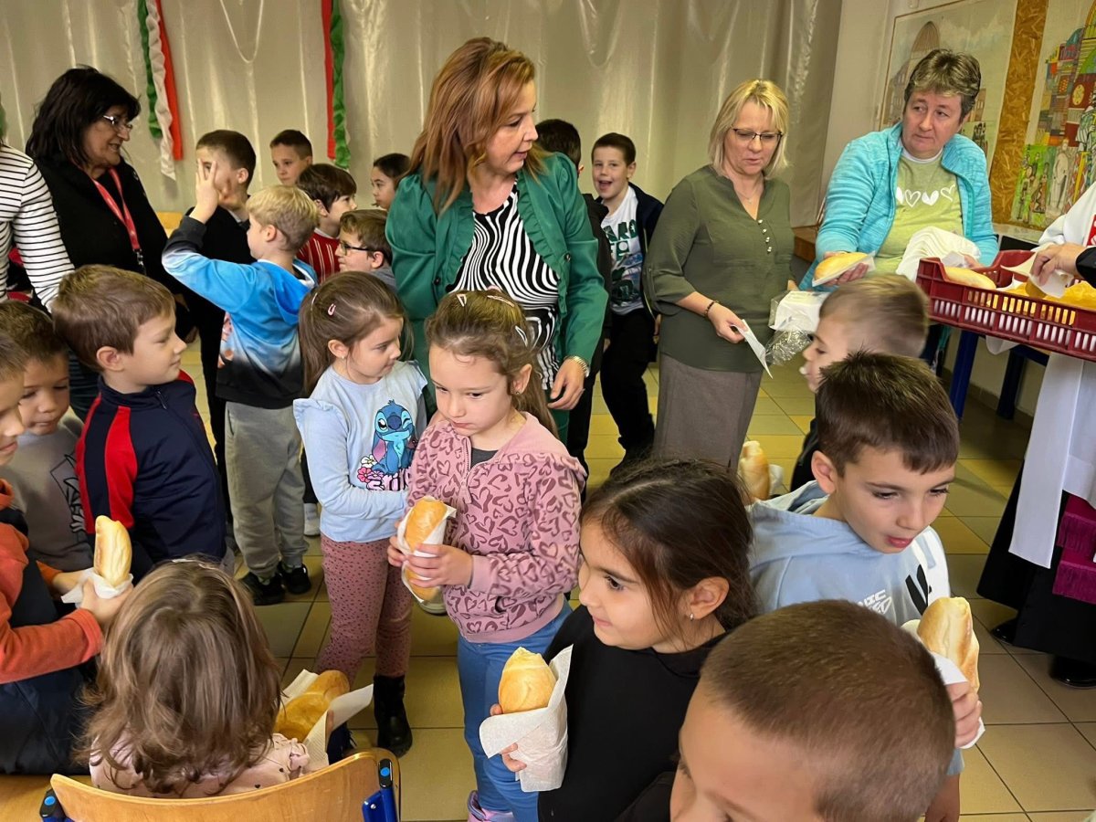 2025.11.fekvo14