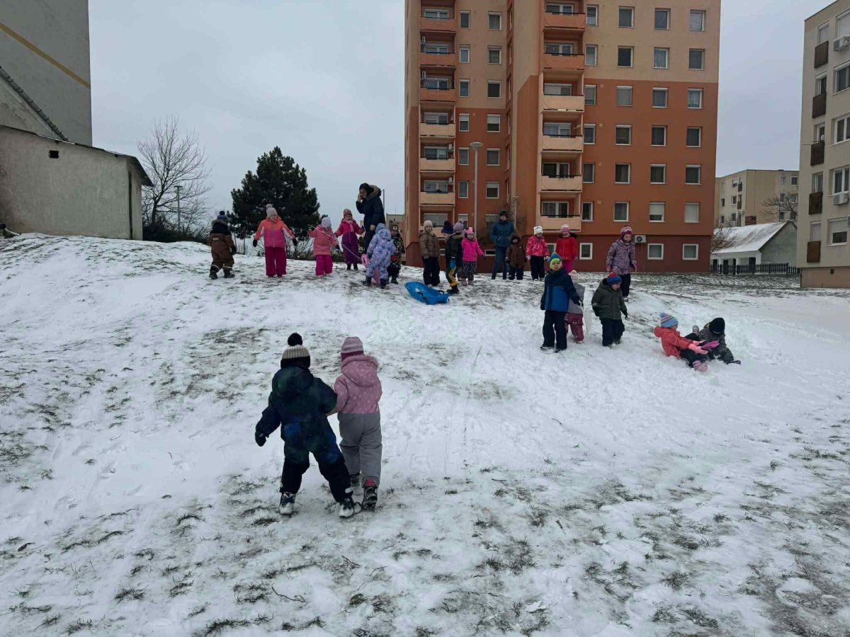 2026.1.fekvo4