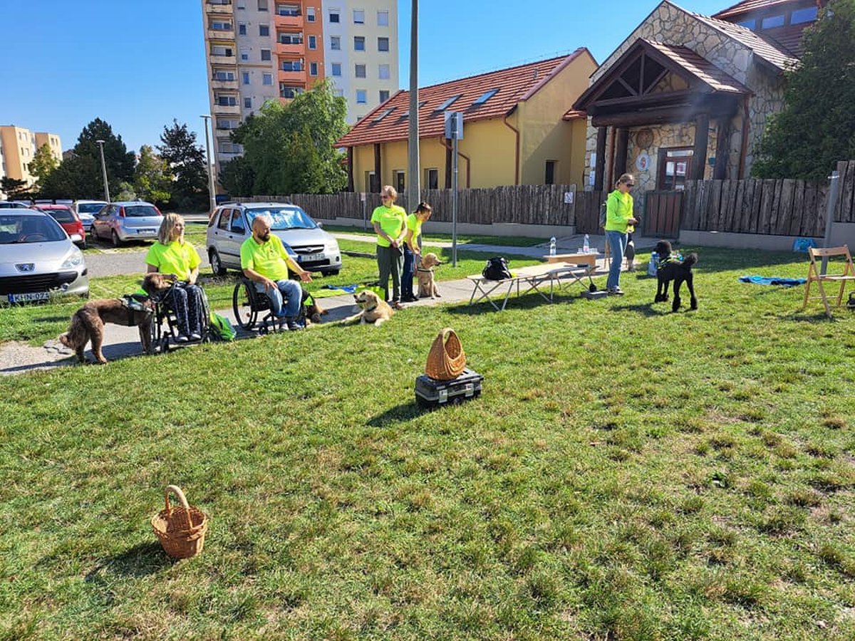 2023.09.fekvo8