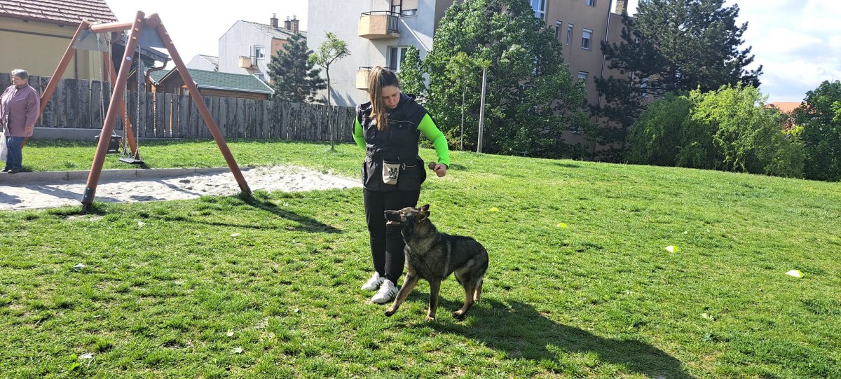 2024.04.fekvo1
