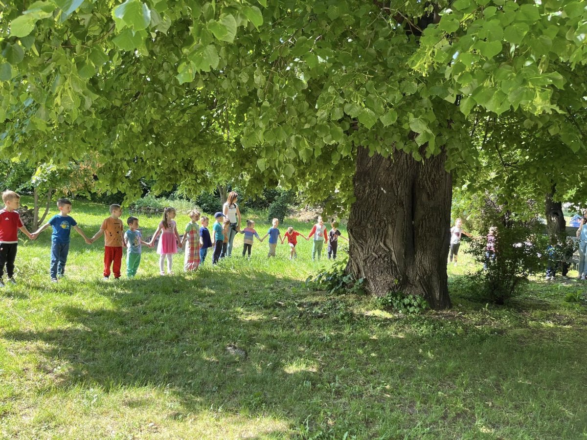 2024.05.fekvo6