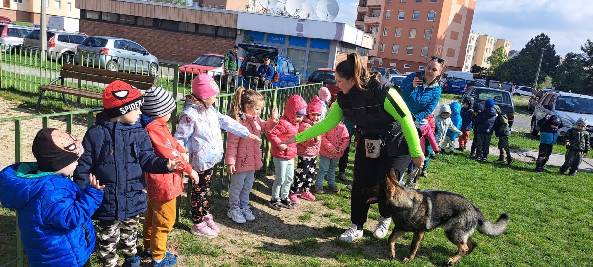 2024.04.fekvo7
