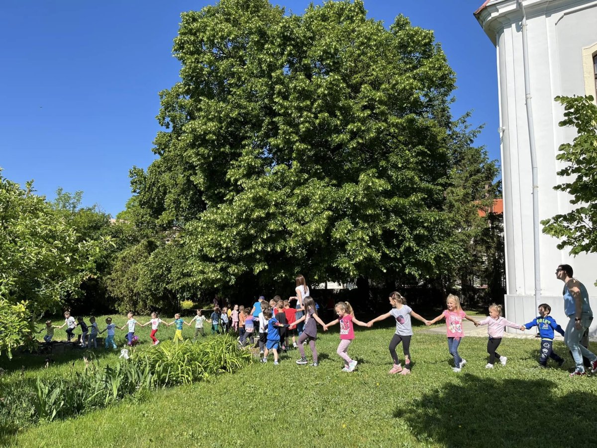 2024.05.fekvo19