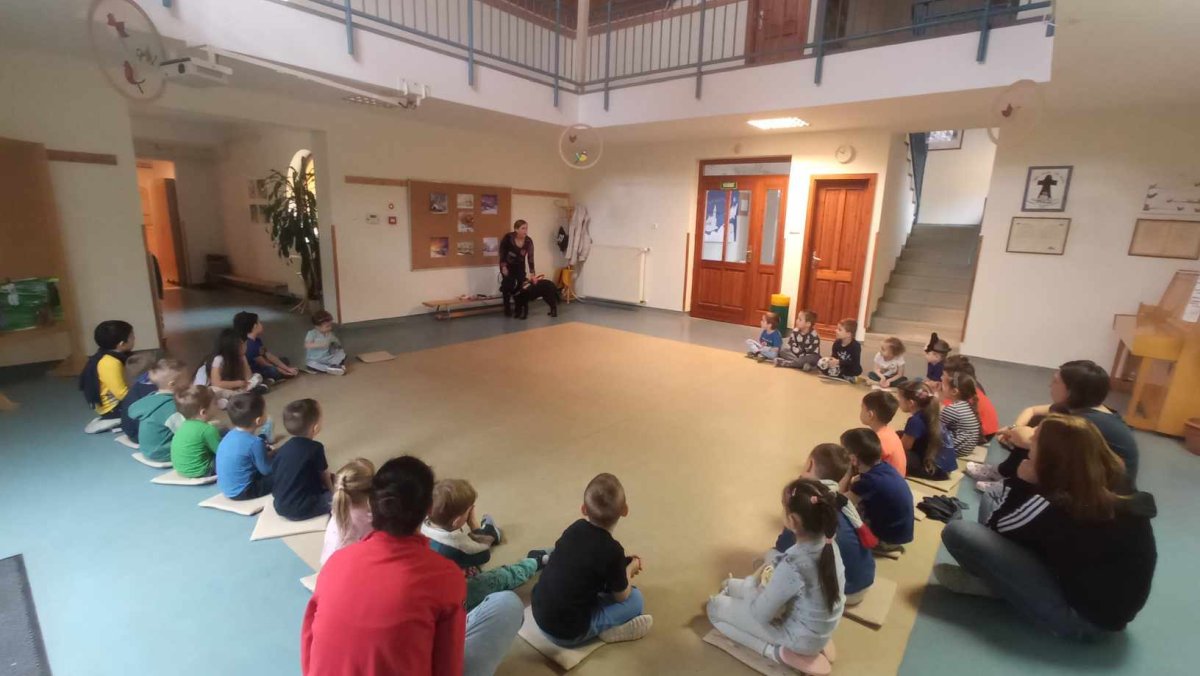2025.02 fekvo8