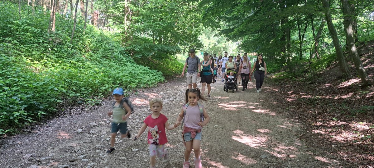 2025.06.fekvo4