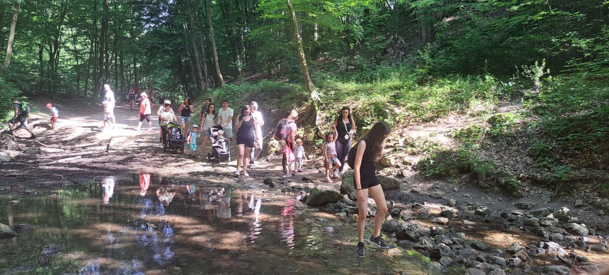 2025.06.fekvo5