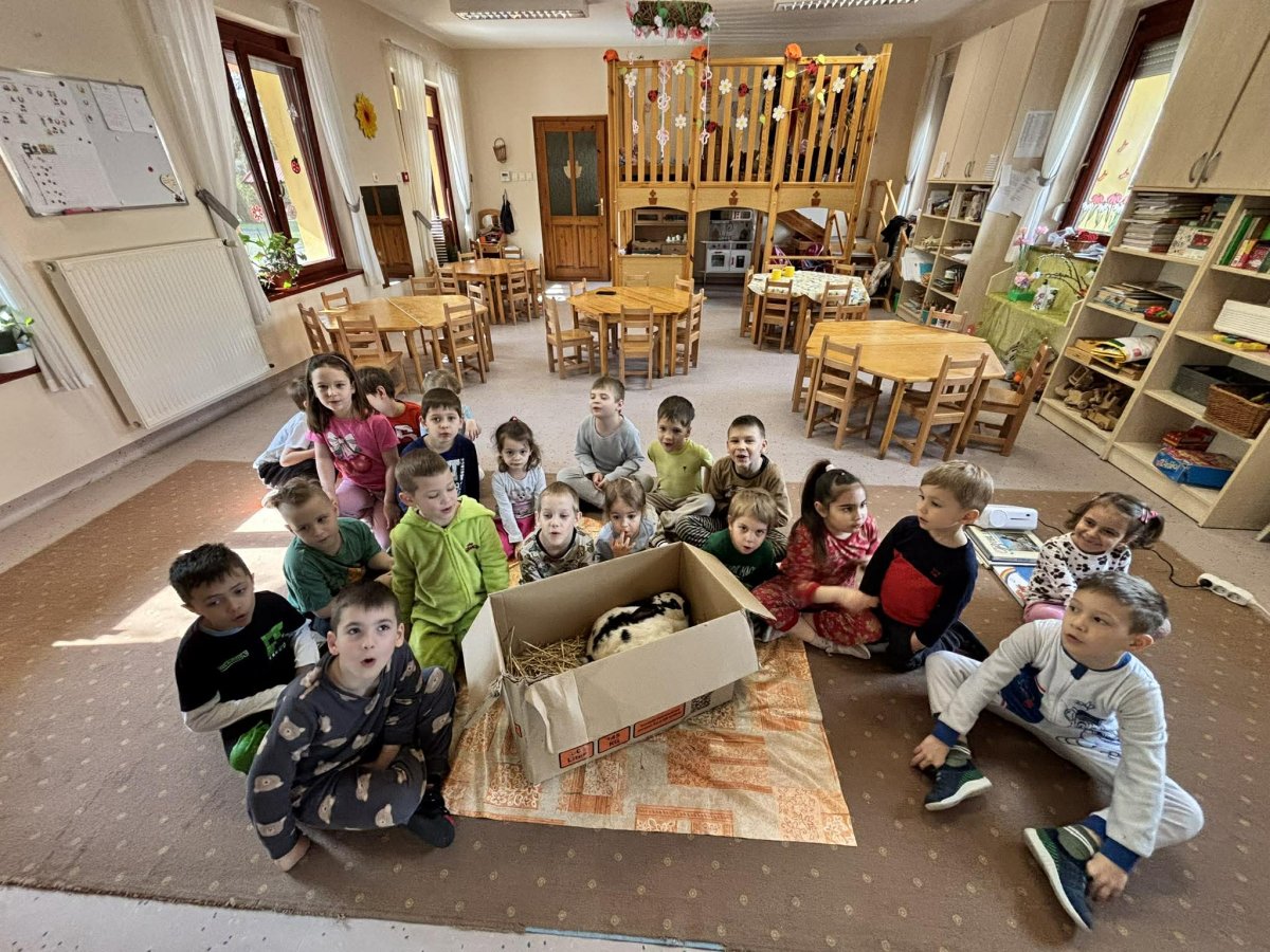 2026.04 fekvo6