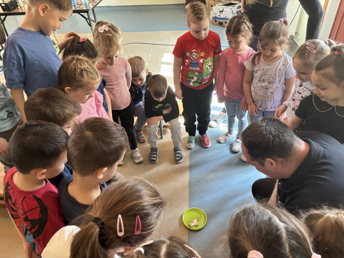 2026.03 fekvo44